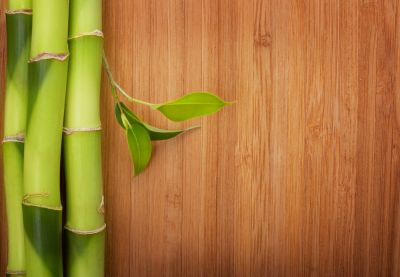 Bamboo Flooring is Beautiful and Classy!